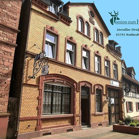 Hotel-Pension Zum Hirsch 哈特斯海姆 外观 照片