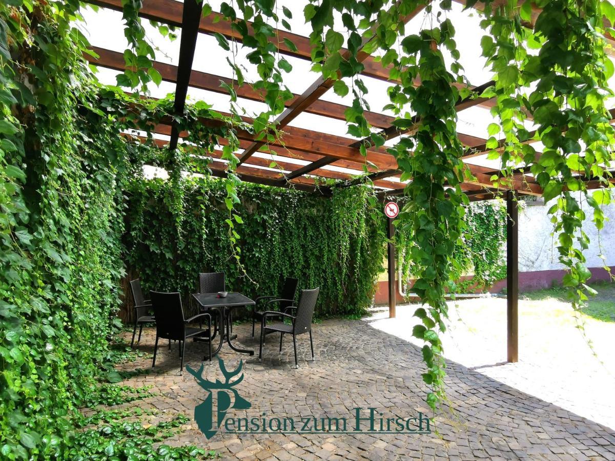 Hotel-Pension Zum Hirsch 哈特斯海姆 外观 照片